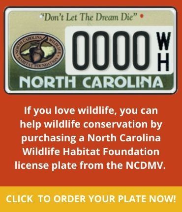 NCWHF License Plates